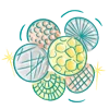 Colorful abstract circles with various patterns, including stripes, dots, and grids, overlapping on a white background.