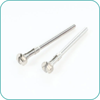 Two silver metal screws with flat, circular heads on a white background.