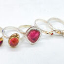 Susan Wells small 300x131 edited